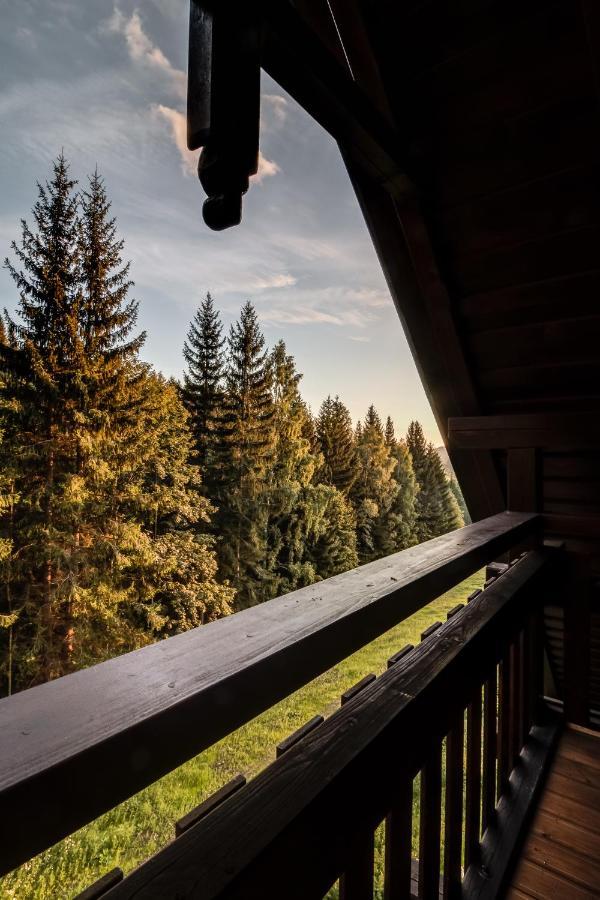 Ski, Hike & Bike Apartman Rokytnice Nad Jizerou Εξωτερικό φωτογραφία